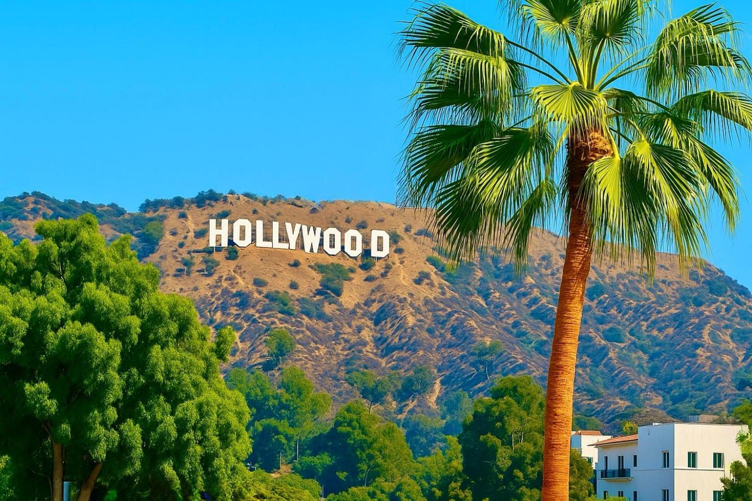 Hollywood Hills Retreat With Jacuzzi Style Tub, Steam Room, Tree-top Views Garden Patio Holiday home Los Angeles